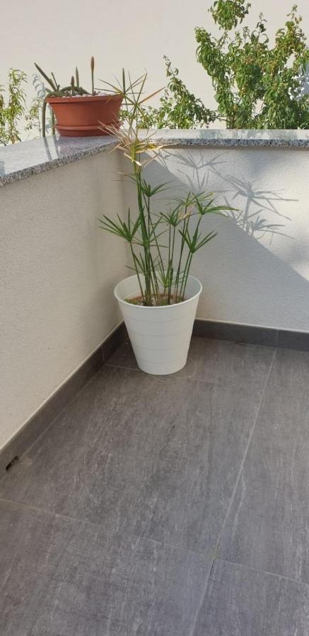 Apartments And Rooms Ivana Krk Town Bagian luar foto